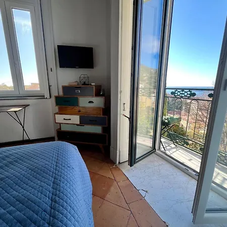 Iminerva Garden Panoramic *