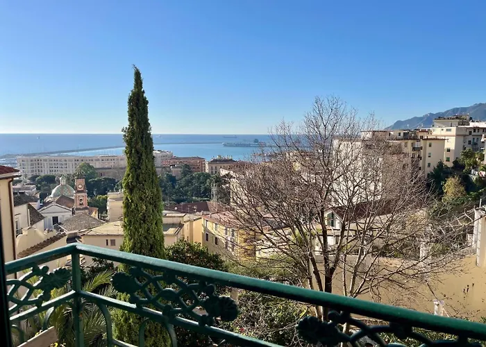 Iminerva Garden Panoramic *